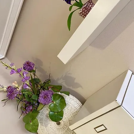 Florida 125 Appartamento